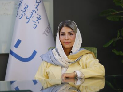 مقررات جزیره‌ای، پاشنه آشیل کسب‌وکارهای نوآور است