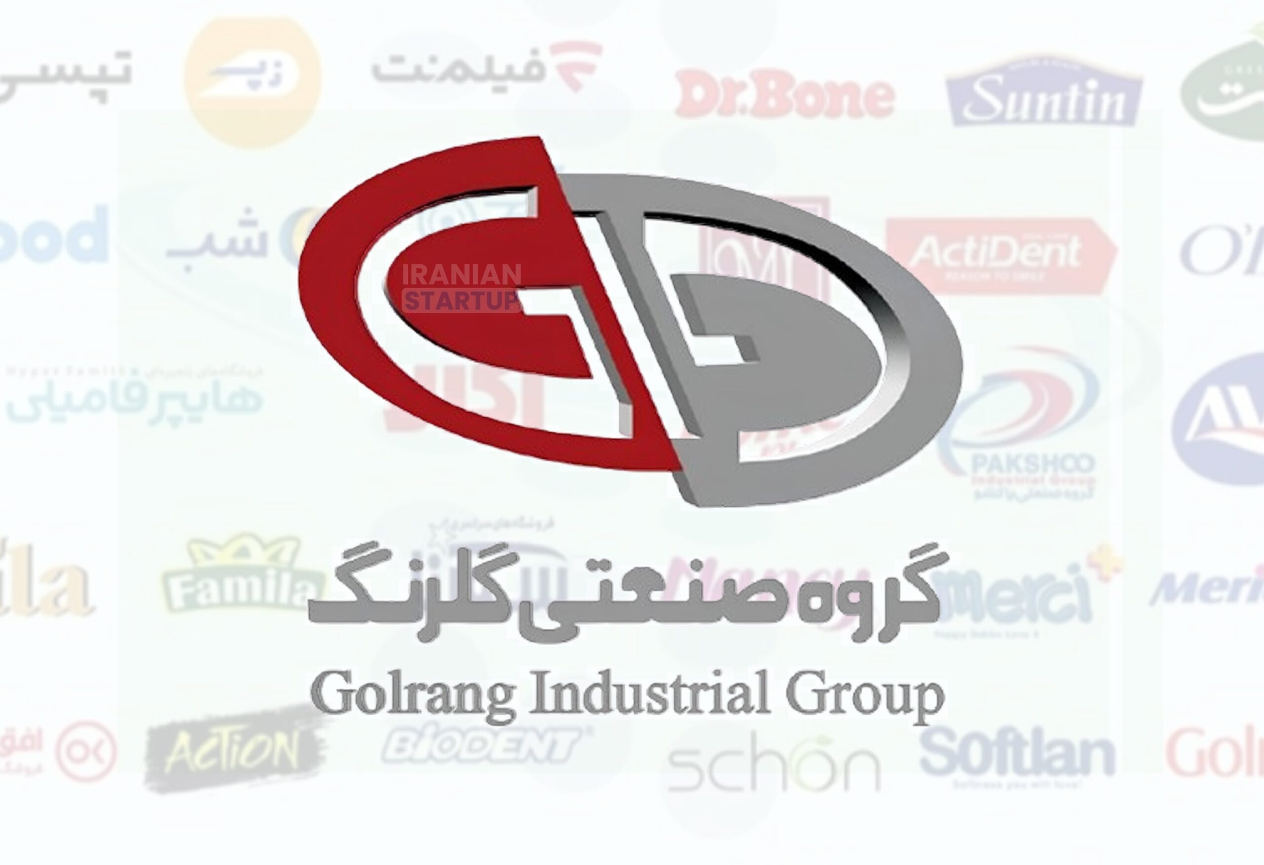 گروه صنعتی گلرنگ، رکورددار دریافت تسهیلات بانکی در کشور شد
