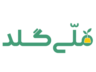 ملّی‌گلد: تصمیمات بانک مرکزی ضدنوآوری و به نفع بازار سنتی است!
