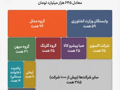 میهن، گلرنگ و اکسون هر کدام ۲۵ همت ارز ترجیحی گرفتند