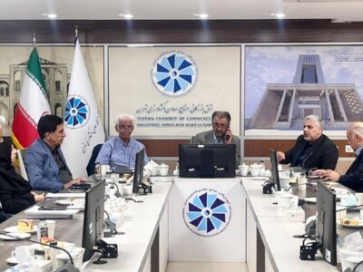 فعالان اقتصادی خواستار مشارکت بخش خصوصی در اصلاح قانون تامین اجتماعی شدند